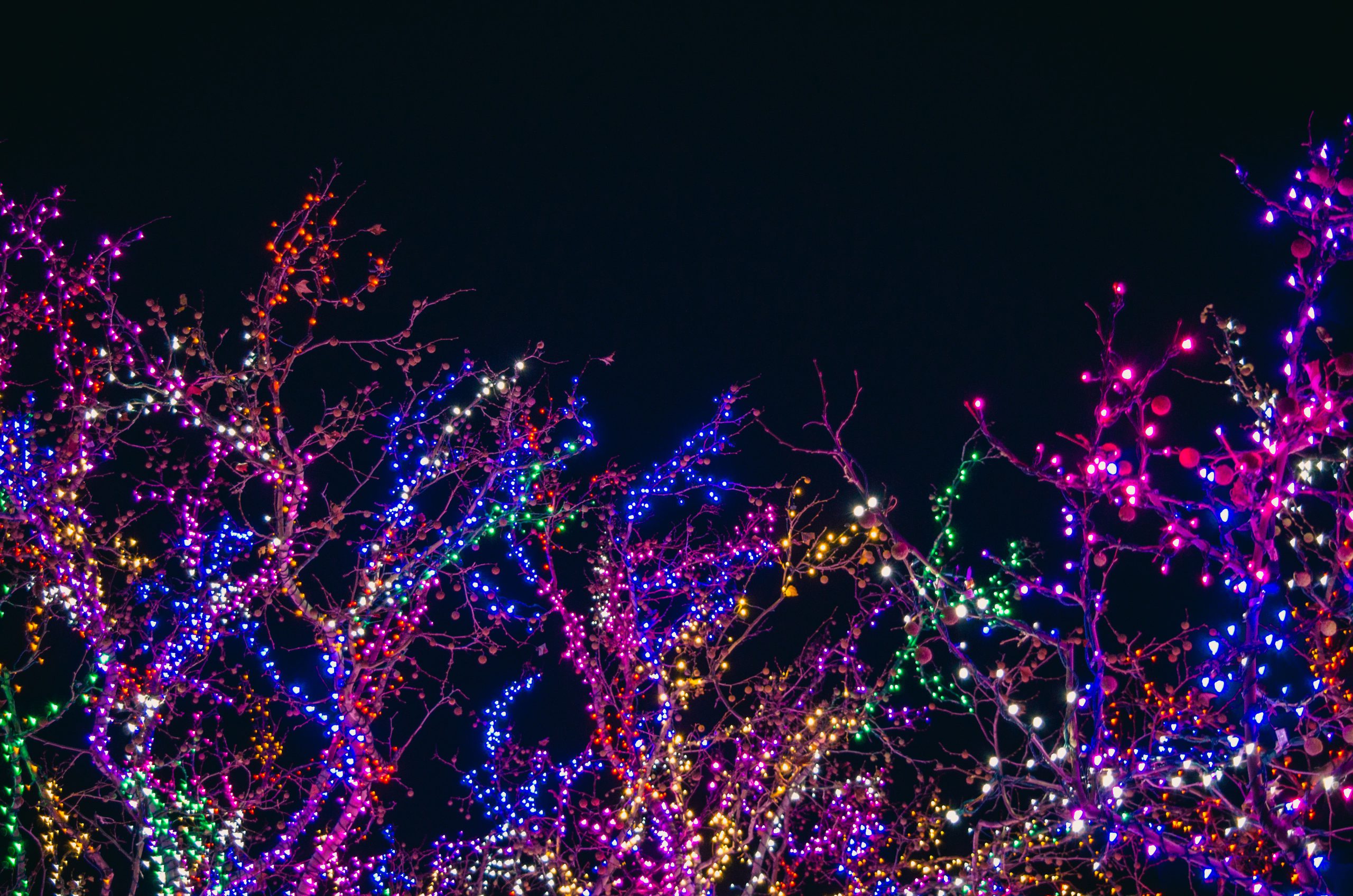 storefront christmas lights