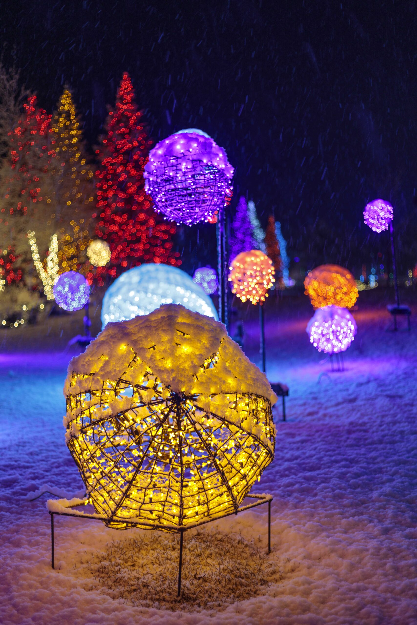 Colorful Balls of Light_8F2A9927 christmas lighting near me